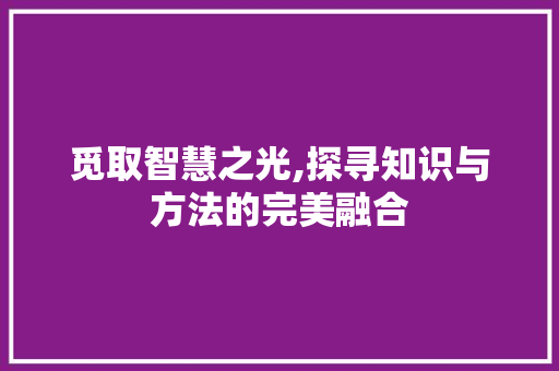 觅取智慧之光,探寻知识与方法的完美融合