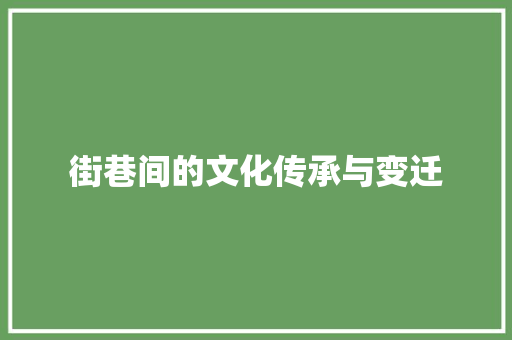 街巷间的文化传承与变迁