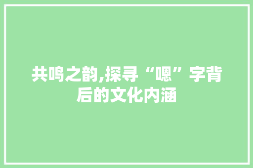 共鸣之韵,探寻“嗯”字背后的文化内涵