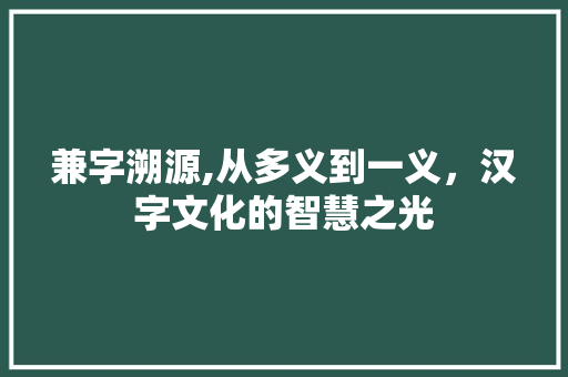 兼字溯源,从多义到一义,汉字文化的智慧之光