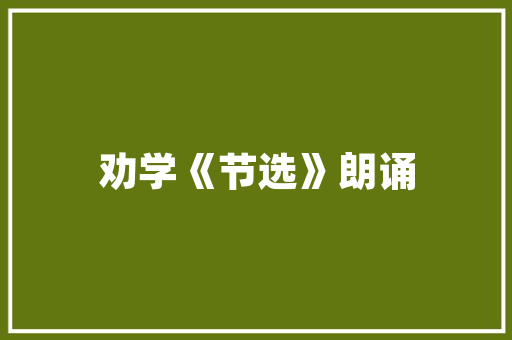 骂人“贱”字,从历史到现实,介绍其背后的文化内涵与道德争议
