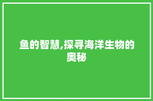 鱼的智慧,探寻海洋生物的奥秘