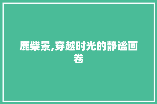 鹿柴景,穿越时光的静谧画卷