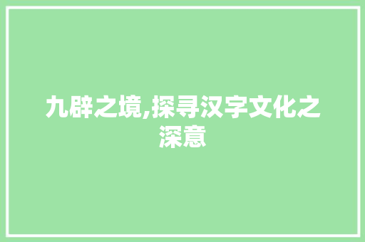 九辟之境,探寻汉字文化之深意