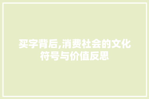 买字背后,消费社会的文化符号与价值反思