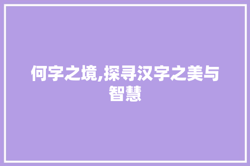 何字之境,探寻汉字之美与智慧