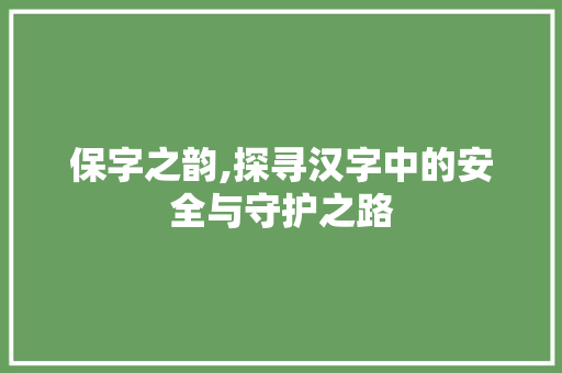 保字之韵,探寻汉字中的安全与守护之路