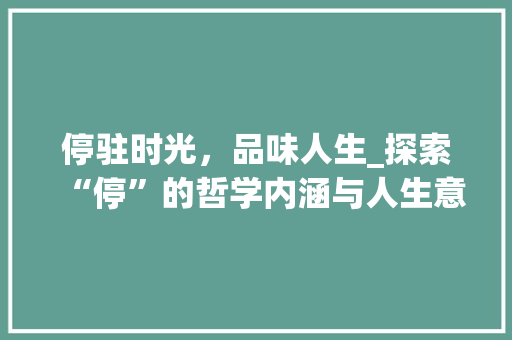 停驻时光，品味人生_探索“停”的哲学内涵与人生意义