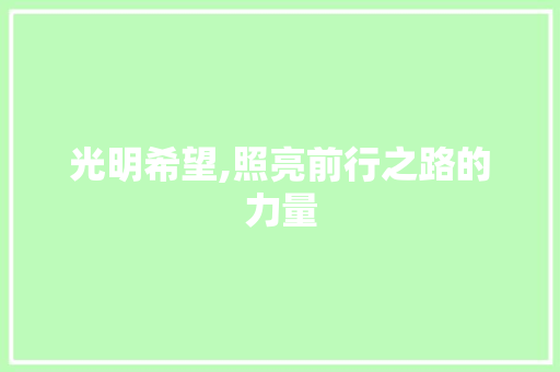 光明希望,照亮前行之路的力量