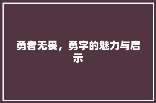 勇者无畏，勇字的魅力与启示