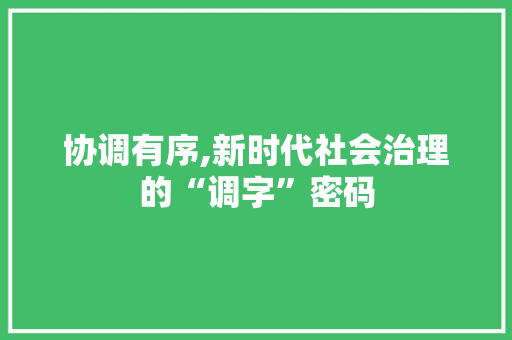 协调有序,新时代社会治理的“调字”密码