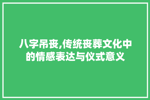 八字吊丧,传统丧葬文化中的情感表达与仪式意义