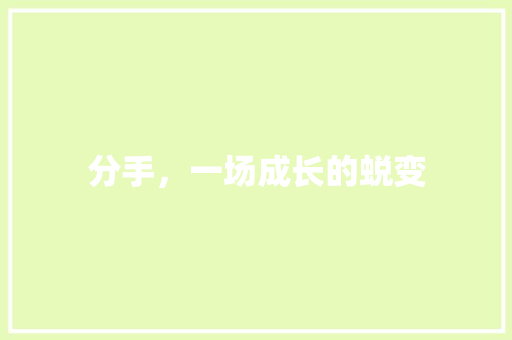 分手，一场成长的蜕变