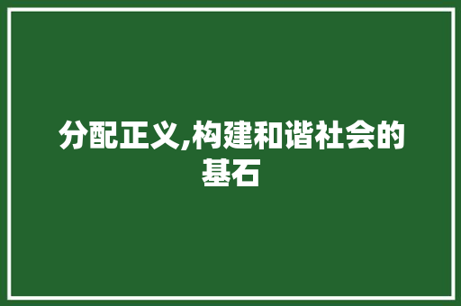 分配正义,构建和谐社会的基石
