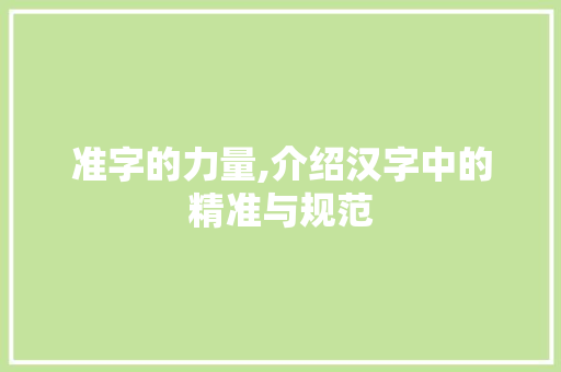准字的力量,介绍汉字中的精准与规范