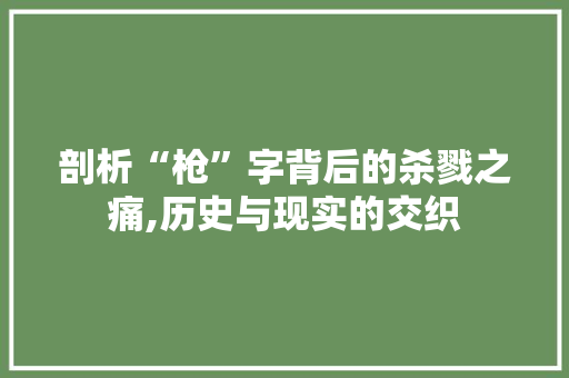 剖析“枪”字背后的杀戮之痛,历史与现实的交织