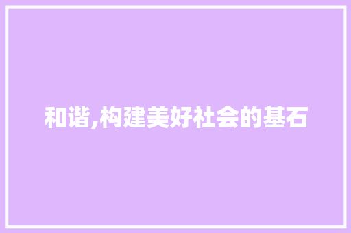 和谐,构建美好社会的基石