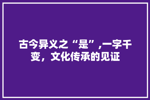古今异义之“是”,一字千变,文化传承的见证 第1张 古今异义之“是”,一字千变,文化传承的见证 第1张
