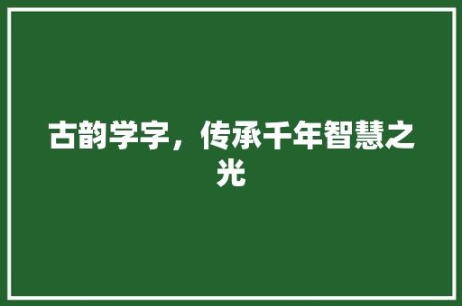 古韵学字，传承千年智慧之光