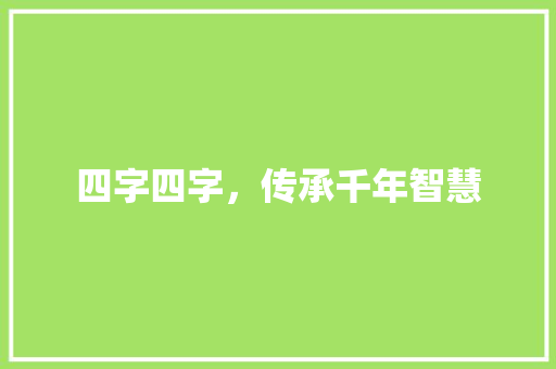 四字四字，传承千年智慧