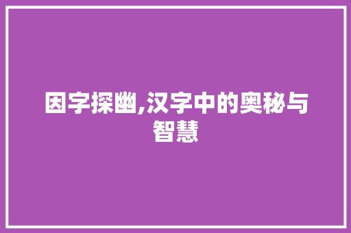 因字探幽,汉字中的奥秘与智慧