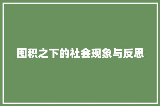 囤积之下的社会现象与反思  第1张