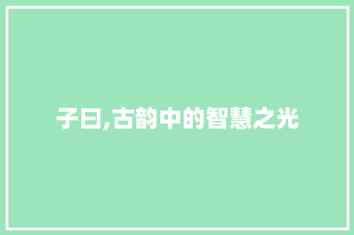 子曰,古韵中的智慧之光