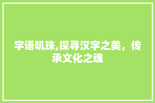 字语叽珠,探寻汉字之美，传承文化之魂