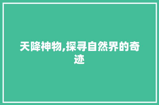 天降神物,探寻自然界的奇迹