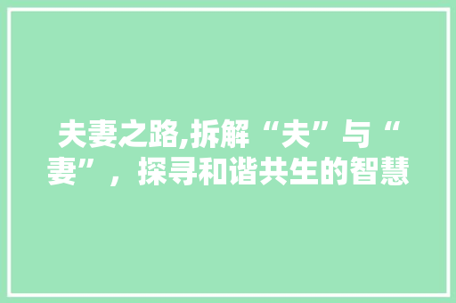 夫妻之路,拆解“夫”与“妻”，探寻和谐共生的智慧