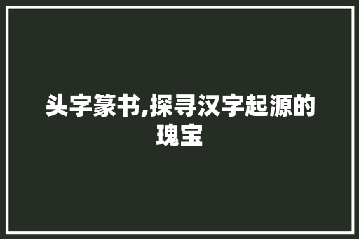 头字篆书,探寻汉字起源的瑰宝