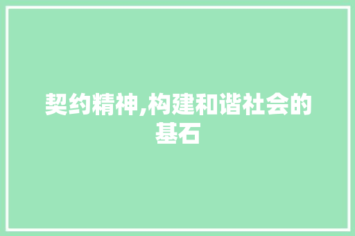 契约精神,构建和谐社会的基石