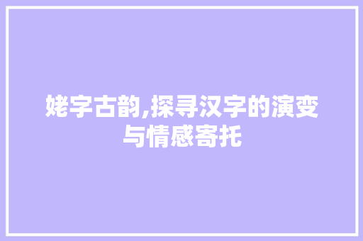 姥字古韵,探寻汉字的演变与情感寄托