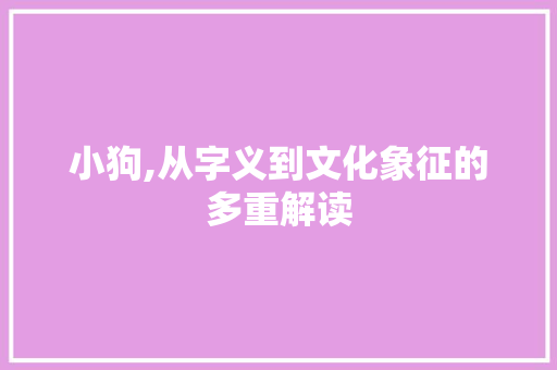 小狗,从字义到文化象征的多重解读