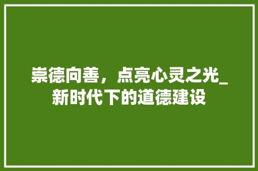崇德向善，点亮心灵之光_新时代下的道德建设