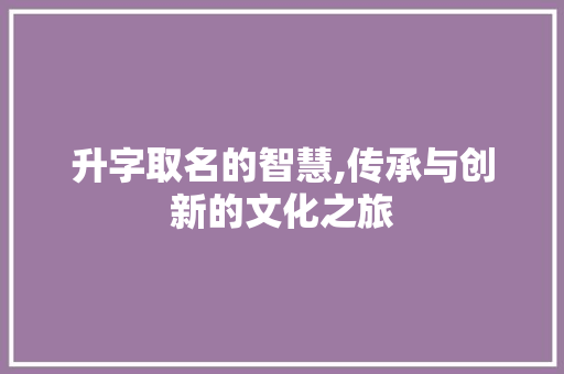 升字取名的智慧,传承与创新的文化之旅