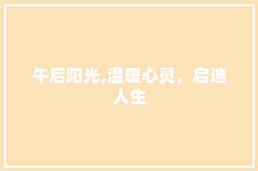 午后阳光,温暖心灵，启迪人生