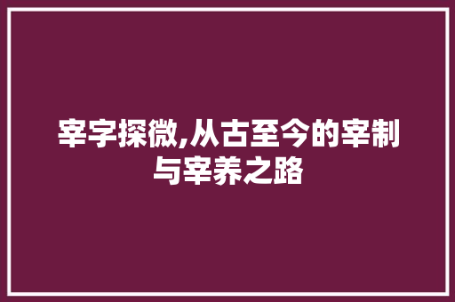 宰字探微,从古至今的宰制与宰养之路  第1张