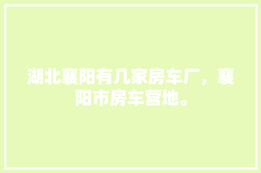 8字龙,传统文化的智慧结晶与当代价值 第1张 8字龙,传统文化的智慧结晶与当代价值 第1张