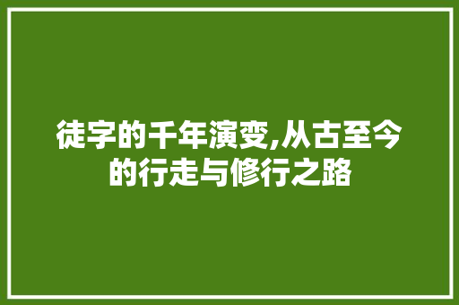 徒字的千年演变,从古至今的行走与修行之路