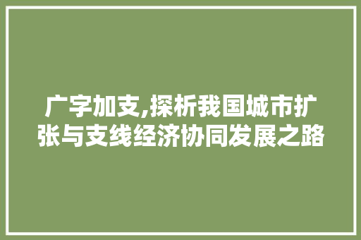 广字加支,探析我国城市扩张与支线经济协同发展之路