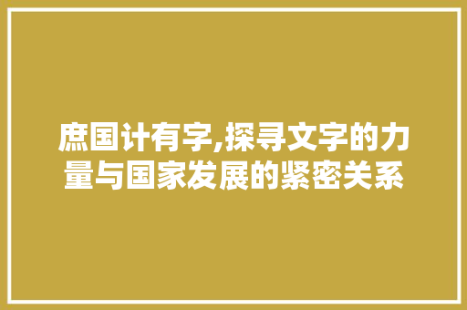 庶国计有字,探寻文字的力量与国家发展的紧密关系