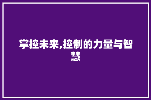 掌控未来,控制的力量与智慧