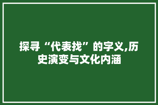 探寻“代表找”的字义,历史演变与文化内涵