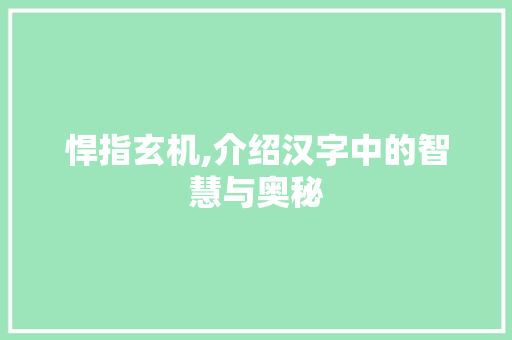 悍指玄机,介绍汉字中的智慧与奥秘  第1张