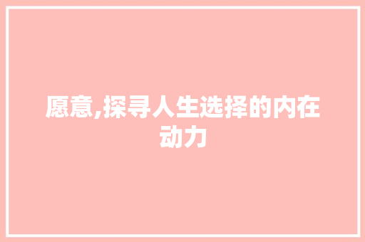愿意,探寻人生选择的内在动力