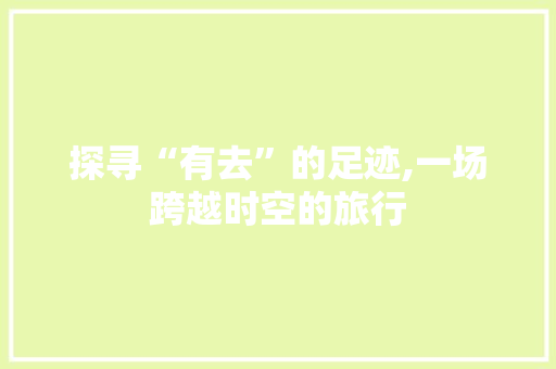 探寻“有去”的足迹,一场跨越时空的旅行