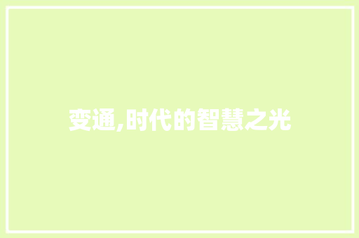 变通,时代的智慧之光 第1张 变通,时代的智慧之光 第1张