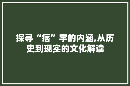 探寻“痞”字的内涵,从历史到现实的文化解读