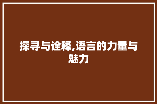 探寻与诠释,语言的力量与魅力